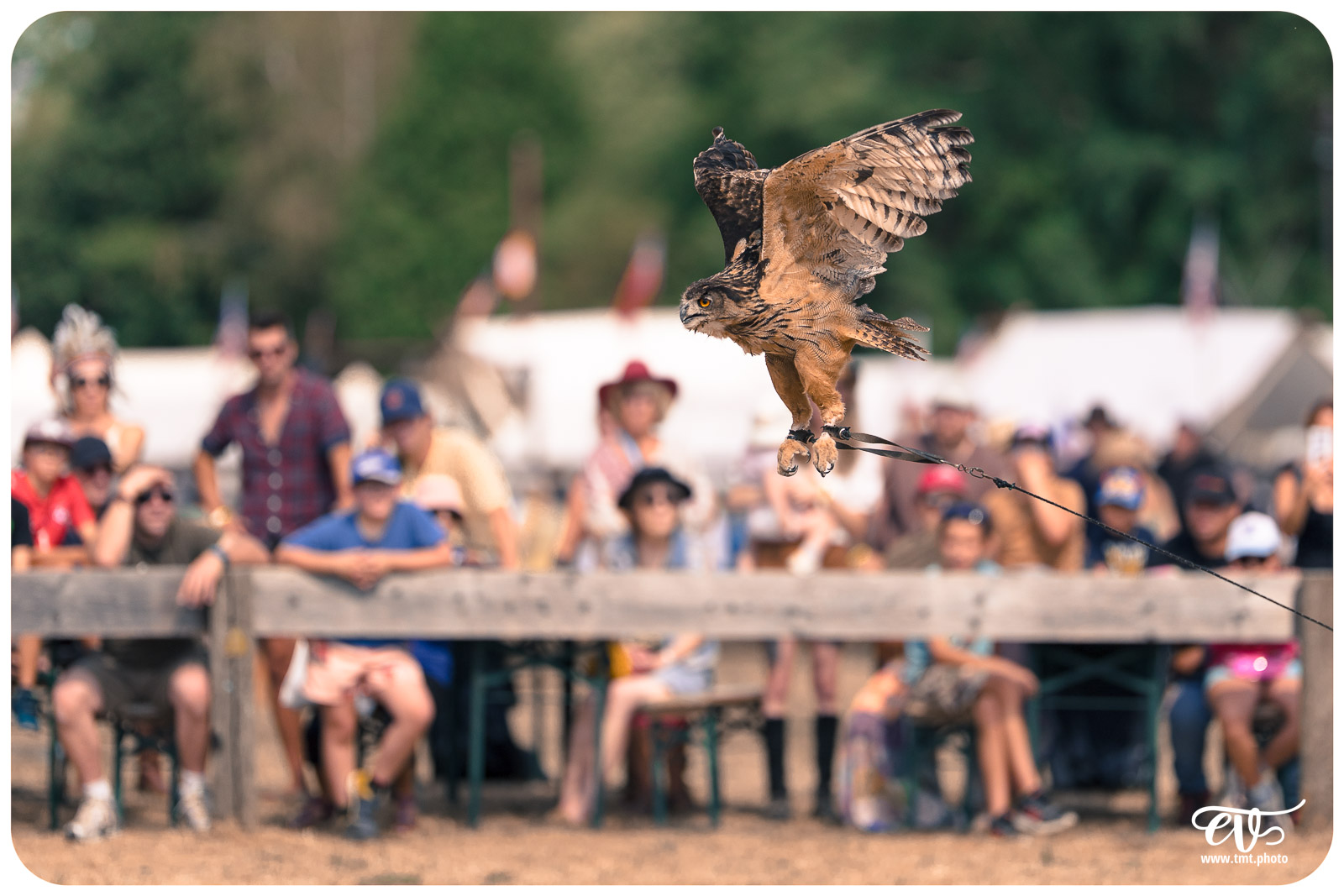 FESTIVAL POW WOW